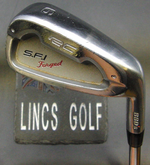Royal Collection BBD's S.F.I Forged 6 Iron Stiff Steel Shaft NO1 Grip