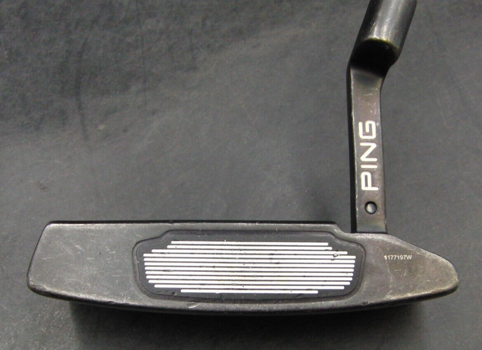 Ping Scottsdale TR Anser 2 Putter Steel Shaft 82cm Length Ping Grip