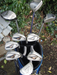 Set of ProGen Oversize 7-SW+ Callaway Driver+ 3 Wood+ 5 Wood+ Putter*