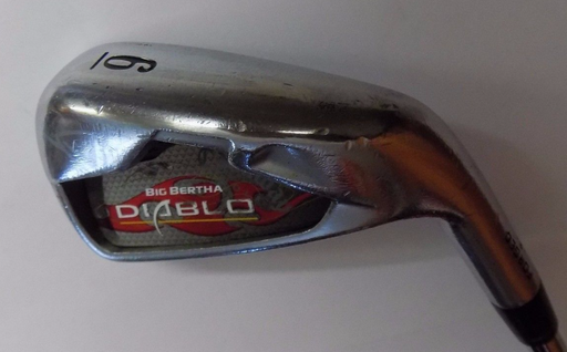 Callaway Big Bertha Diablo 6 Iron NS Pro 1100GH Stiff Steel Shaft Callaway Grip