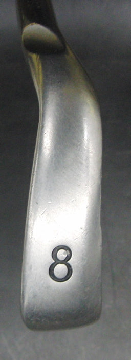 Ping G30 Blue Dot 8 Iron Regular Graphite Shaft Ping Grip