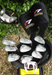 Set of TaylorMade R7 XR 3-PW +Driver +3+5 Wood +Putter +Bag