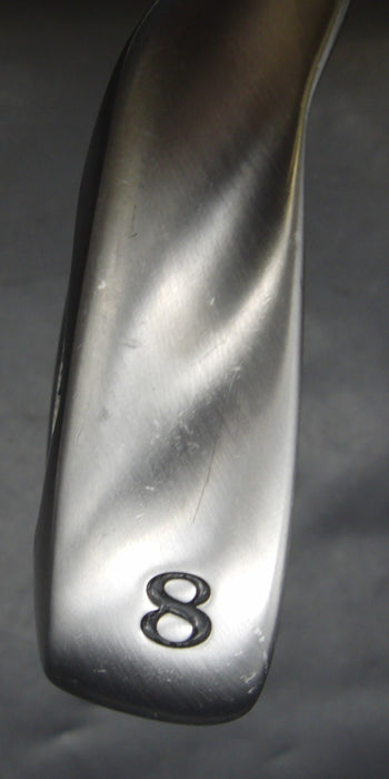 Left-Handed World Eagle F-01α 8 Iron Stiff Steel Shaft David Grip
