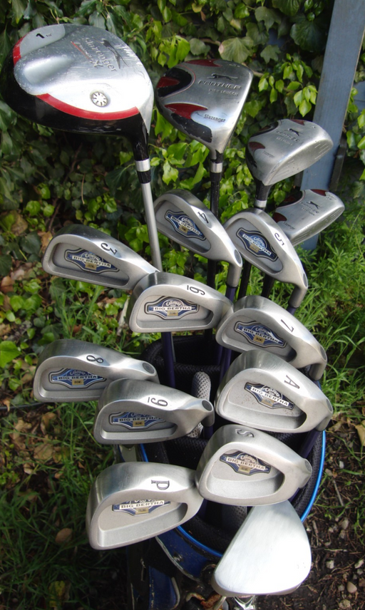 Set of Callaway Big Bertha 3-SW+AW Irons+Driver +3+5 Wood+3 Hybrid+Putter