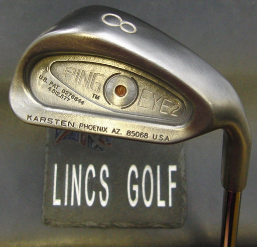 Ping Eye 2 Karsten Brown Dot 8 Iron Regular Steel Shaft John Byron Grip
