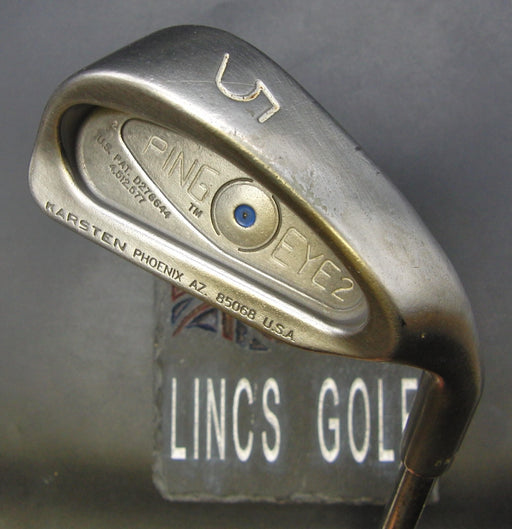 Ping Eye 2 Blue Dot 5 Iron Regular Steel Shaft Ping Grip