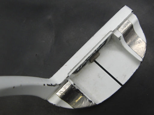 TaylorMade TOUR PREFERRED GHOST MA-81 Putter 84cm Length Steel Shaft PSYKO Grip