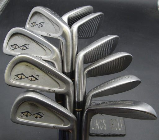 Set of 10x Snake Eyes TC-01 3-SW+LW Irons Regular Steel Shafts Mixed Grips
