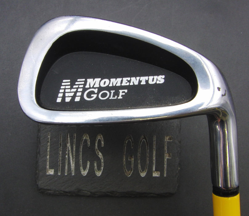 Momentus Golf Training Iron Coated Steel Shaft Black Grip