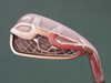 Benross Max Speed 10 6 Iron Regular Steel Shaft Benross Grip