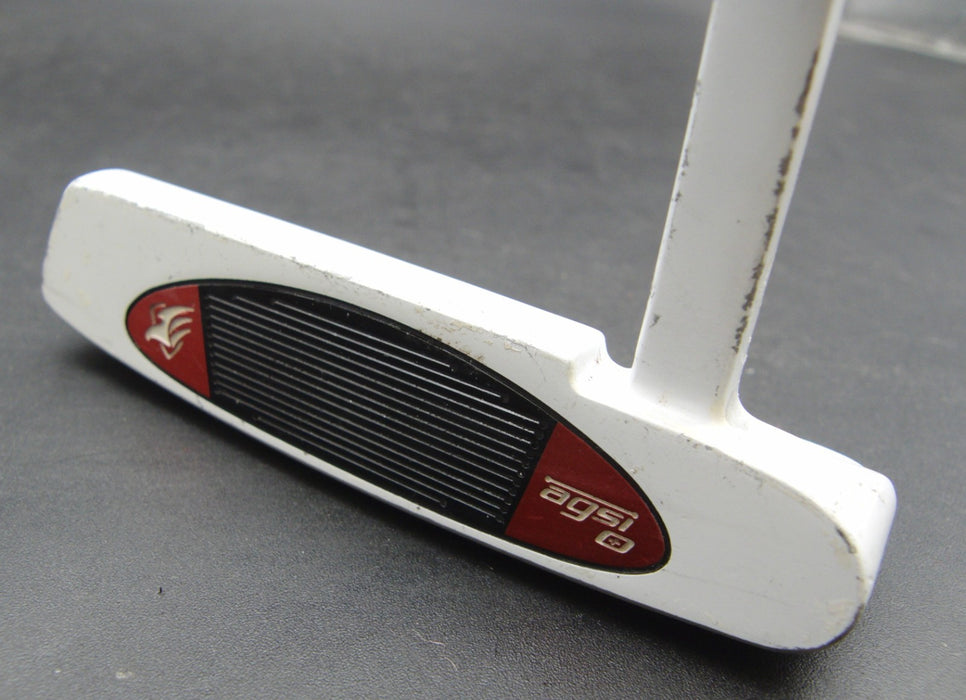 TaylorMade Rossa Daytona 1 Agsi+ Putter 86cm Length Steel Shaft PSYKO Grip