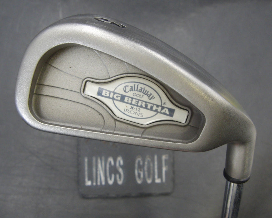 Callaway Big Bertha X-12 3 Iron Regular Steel Shaft Royal Grip