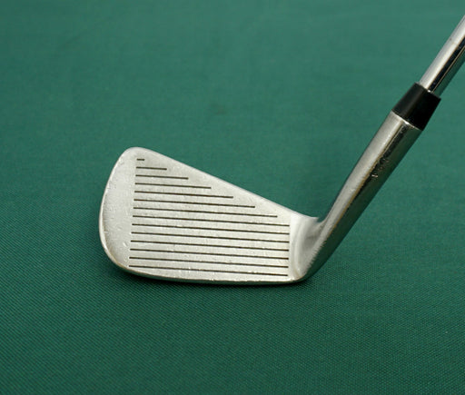 Cobra Tour Model II U.S.A 6 Iron Regular Steel Shaft Unbranded Grip