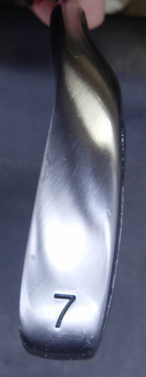 Ladies Frantia Stainless 7 Iron Ladies Graphite Shaft Frantia Grip