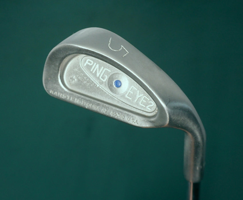 Ping Eye2 Blue Dot 5 Iron Regular Steel Shaft Masters Grip