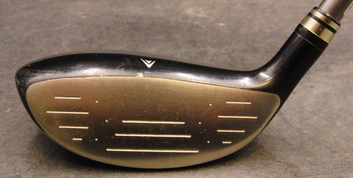 XXIO Next Future Technology 4 Hybrid Stiff Graphite Shaft XXIO Grip