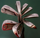 Vintage Ladies Set of 8 x Lady Craigton Stainless Irons 4-SW Ladies Steel Shaft