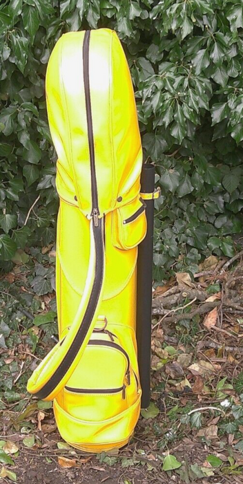 Vintage 6 Division Mizuno Golf Cart Carry Clubs Bag