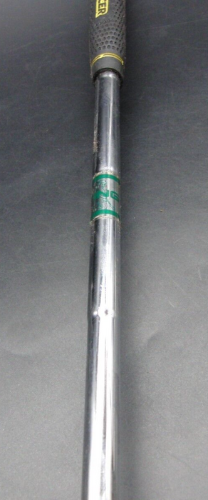 Ping Pal 5 Putter 89.5cm Playing Length Steel Shaft Acer Grip