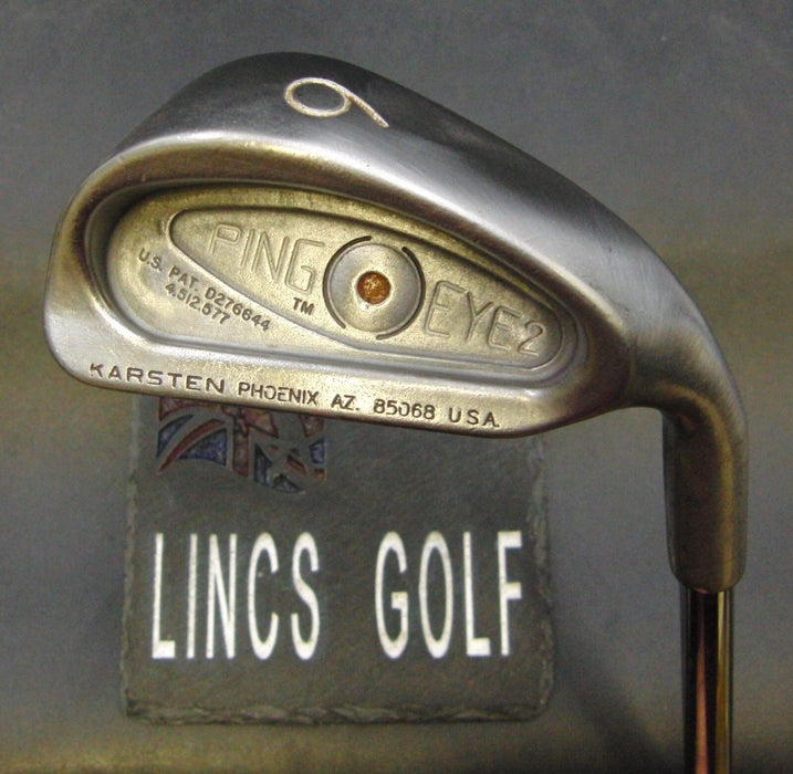 Ping Eye 2 Karsten Brown Dot 6 Iron Regular Steel Shaft John Byron Grip