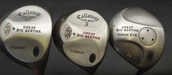 Set Of Callaway Big Bertha 5-10-PW Irons + Callaway Driver + 3 + 4 Wood + Putter