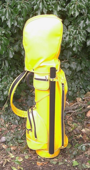 Vintage 6 Division Mizuno Golf Cart Carry Clubs Bag