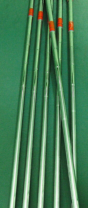 Vintage Ladies Set of 6 x Mizuno Champion Irons 6-SW Ladies Steel Shafts