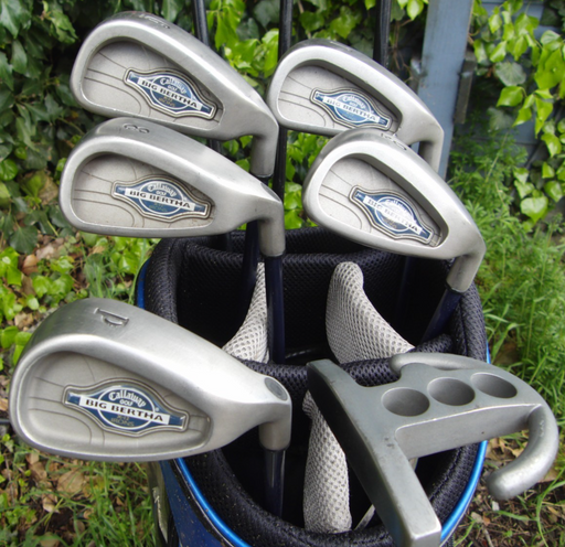 Set of Callaway Big Bertha X-12 6-PW+Donnay Driver+3+5 Wood +Putter*