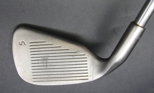 Ping Eye 2 Blue Dot 5 Iron Regular Steel Shaft Ping Grip