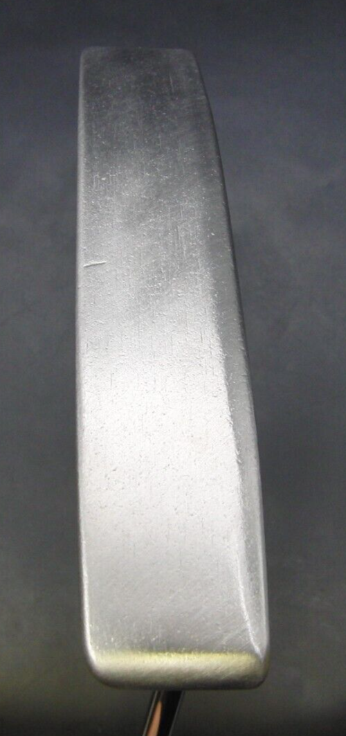 Ping Pal 5 Putter 89.5cm Playing Length Steel Shaft Acer Grip