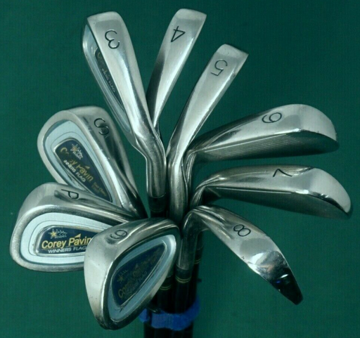 Vintage Set 9 x Corey Pavin Winners Flag Tour Champ Irons 3-SW Regular Graphite