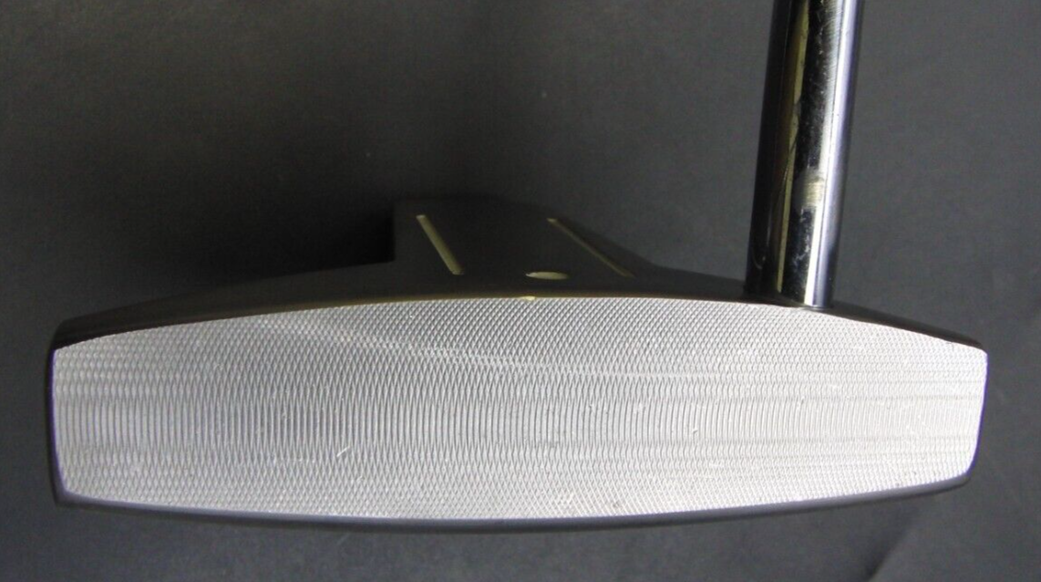 PRGR PT10 Sweep M30 Putter Steel Shaft 82.5cm Length Acer Grip