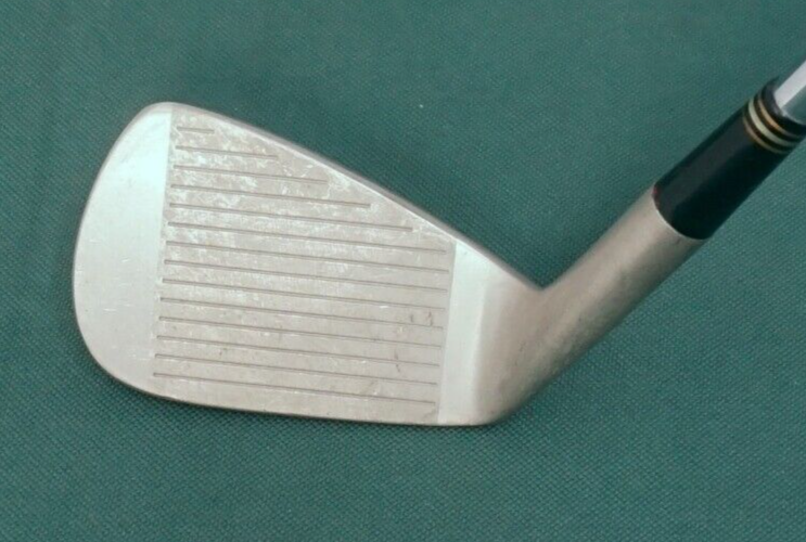 Maxfli DP-201 FC 8 Iron Regular Steel Shaft Golf Pride Grip