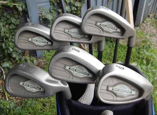 Set of Callaway Big Bertha X12 Iron 5-PW+ Driver+ 4 Wood+5 Wood +Putter*