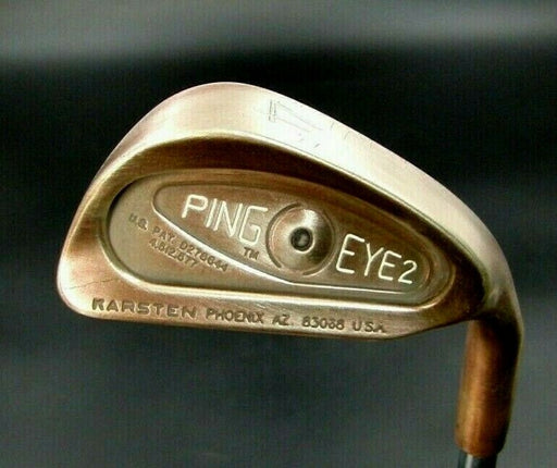 Ping Eye 2 Black Dot Beryllium Copper BeCu 4 Iron Regular Steel Shaft Ping Grip