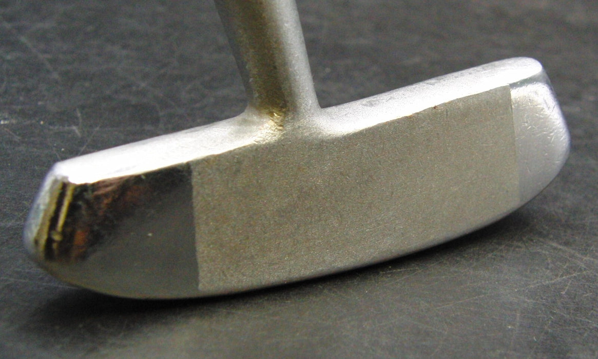 Vintage Spalding Personal Model Putter 87.5cm Steel Shaft Iguana Golf Grip