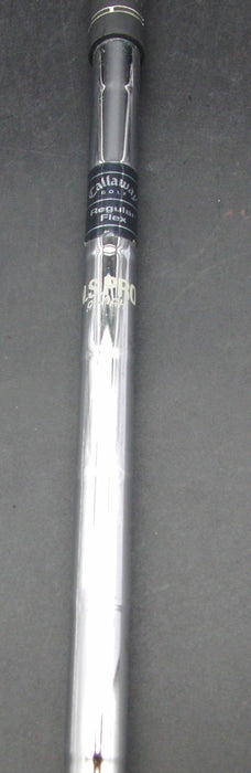 Callaway Big Bertha 2002 10 Iron Regular Steel Shaft Golf Pride Grip