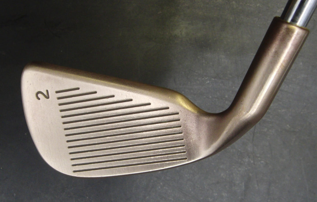 Ping Eye 2 BeCu Black Dot 2 Iron Stiff Steel Shaft Black Grip