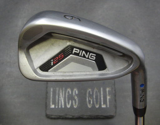 Ping i25 Blue Dot 6 Iron Regular Steel Shaft Ping Grip
