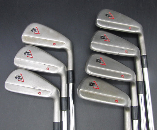 Set of 7x TaylorMade ICW-11 4-PW Irons Regular Steel Shafts TaylorMade Grips