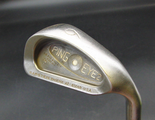 Ping EYE2+ White Dot 6 Iron Stiff Steel Shaft Golf Pride Grip