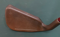 Ping Zing BeCu Beryllium Copper Blue Dot 6 Iron Regular Graphite Shaft Ping Grip