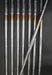 Set of 8 x North Land Miracle Lite Forged Irons 3PW Regular Steel Shafts