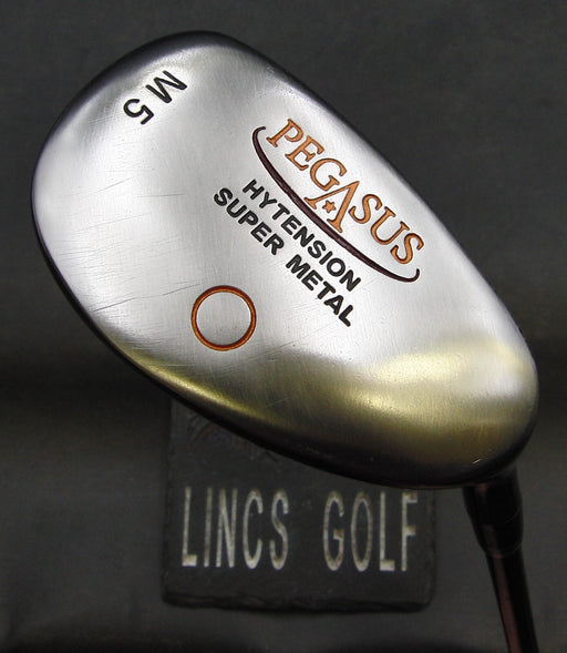 Pegasus Hytension Super Metal M5 5 Hybrid Regular Graphite Shaft