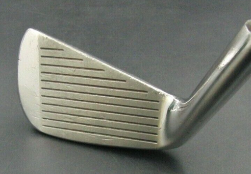 Wilson Sam Snead Blue Ridge 2 Iron Regular Steel Shaft Unbranded Grip