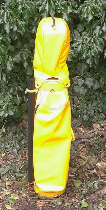 Vintage 6 Division Mizuno Golf Cart Carry Clubs Bag