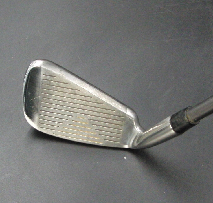 Lynx Black Cat 6 Iron Seniors Graphite Shaft XPC 2000 Grip