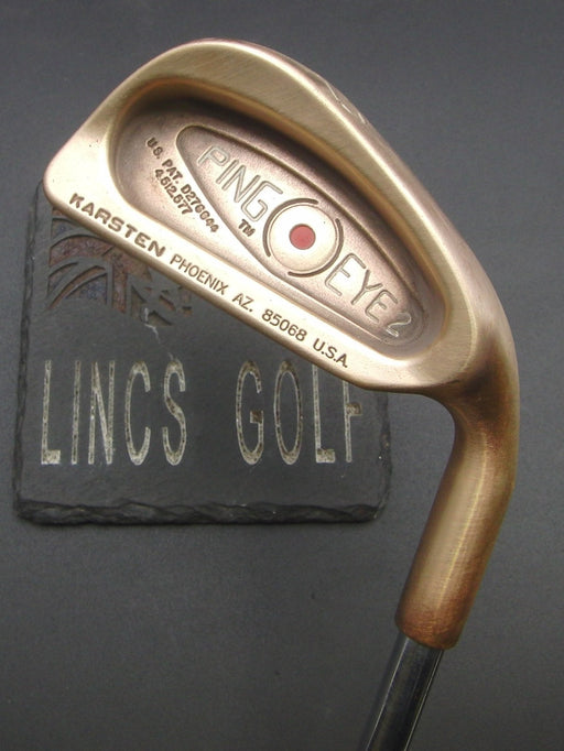 Ping Eye2 BeCu Red Dot 2 Iron Regular Steel Shaft Benross Grip