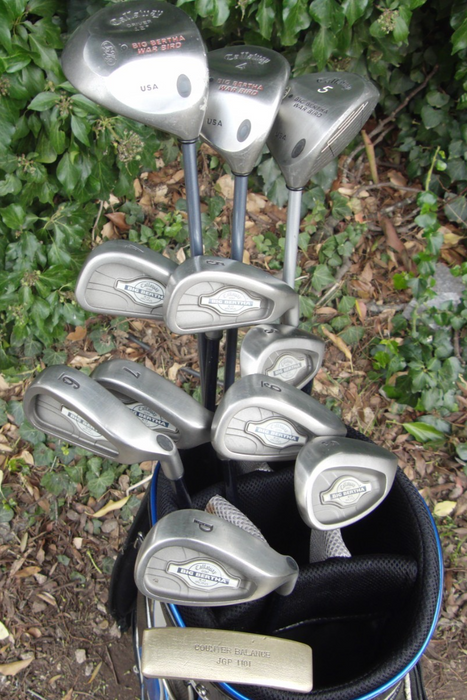 Set of Callaway Big Bertha X-12 4-SW+ Callaway Driver+ 4 Wood+ 5 Wood+ Putter*