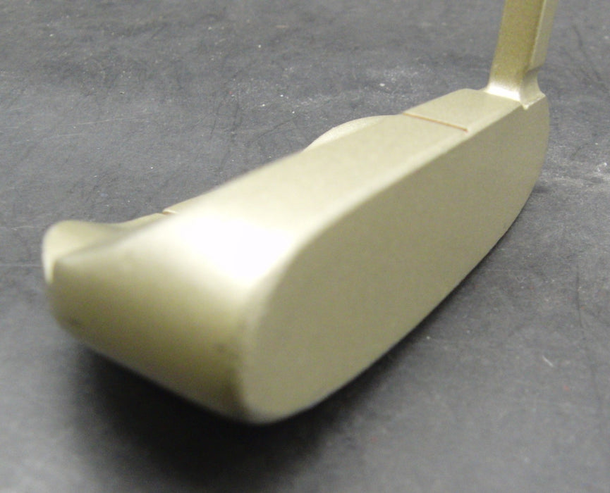 Larouge Putter Steel Shaft 89cm Length Professional Grip